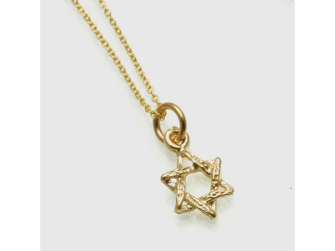 14k Gold Petite Star of David Necklace