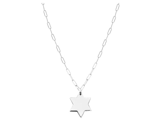 Liz Star of David Necklace
