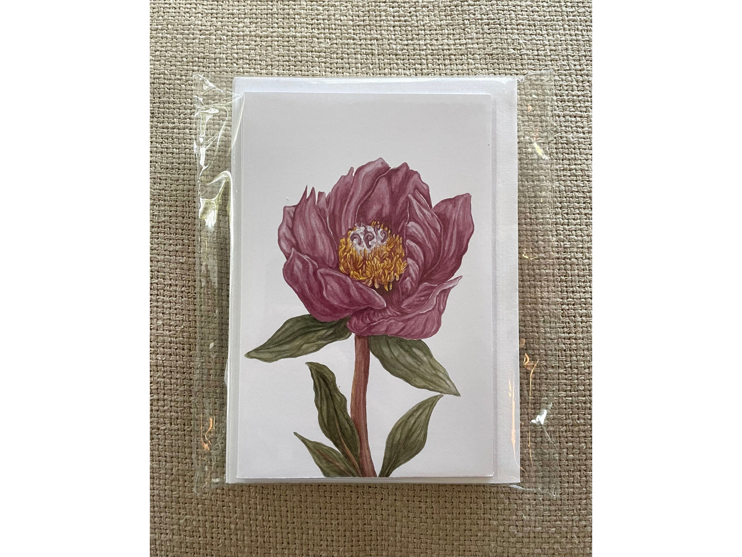 Wildflowers of Israel Greeting Cards