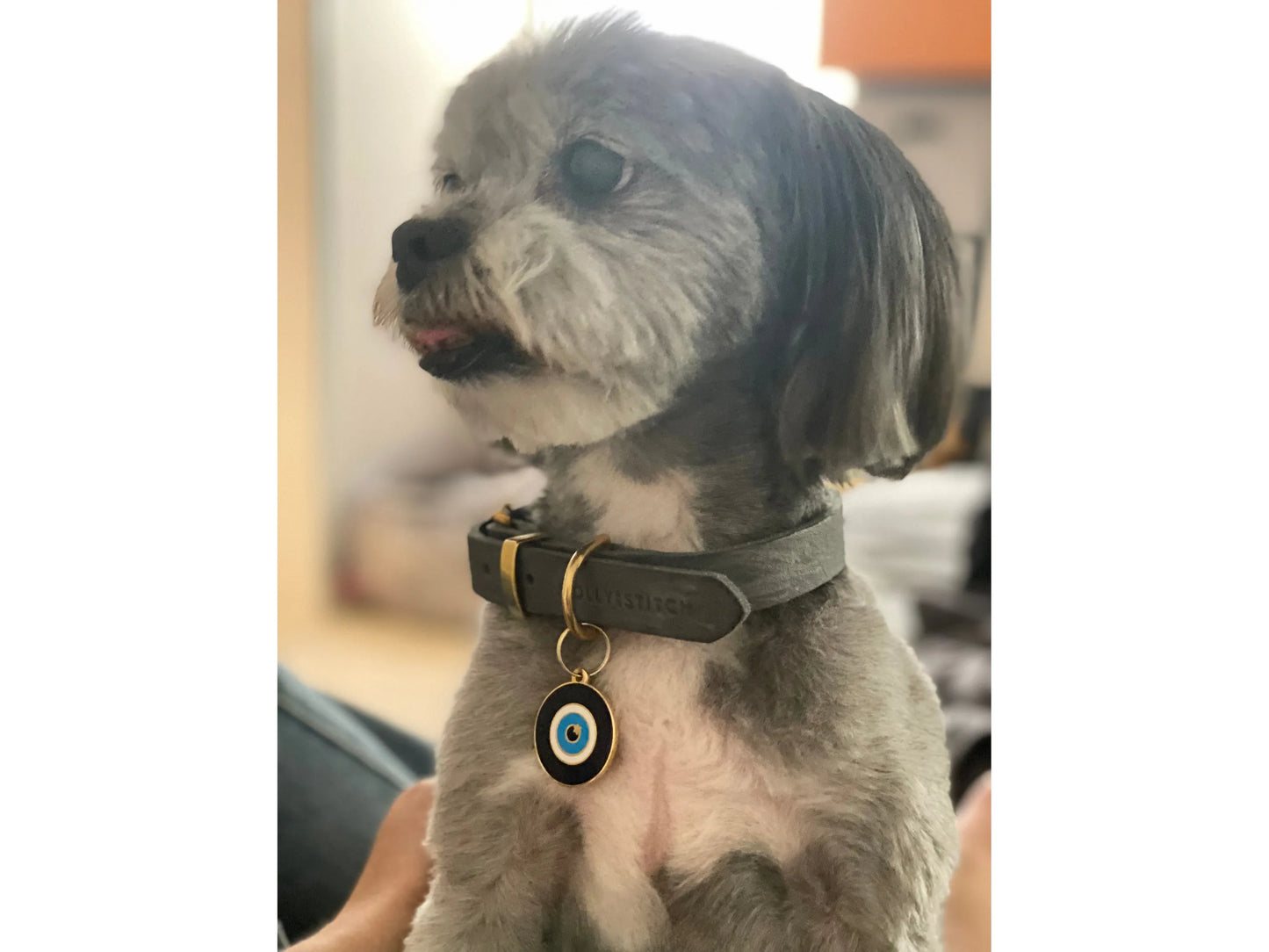 Personalized Jewish Evil Eye Dog Tag