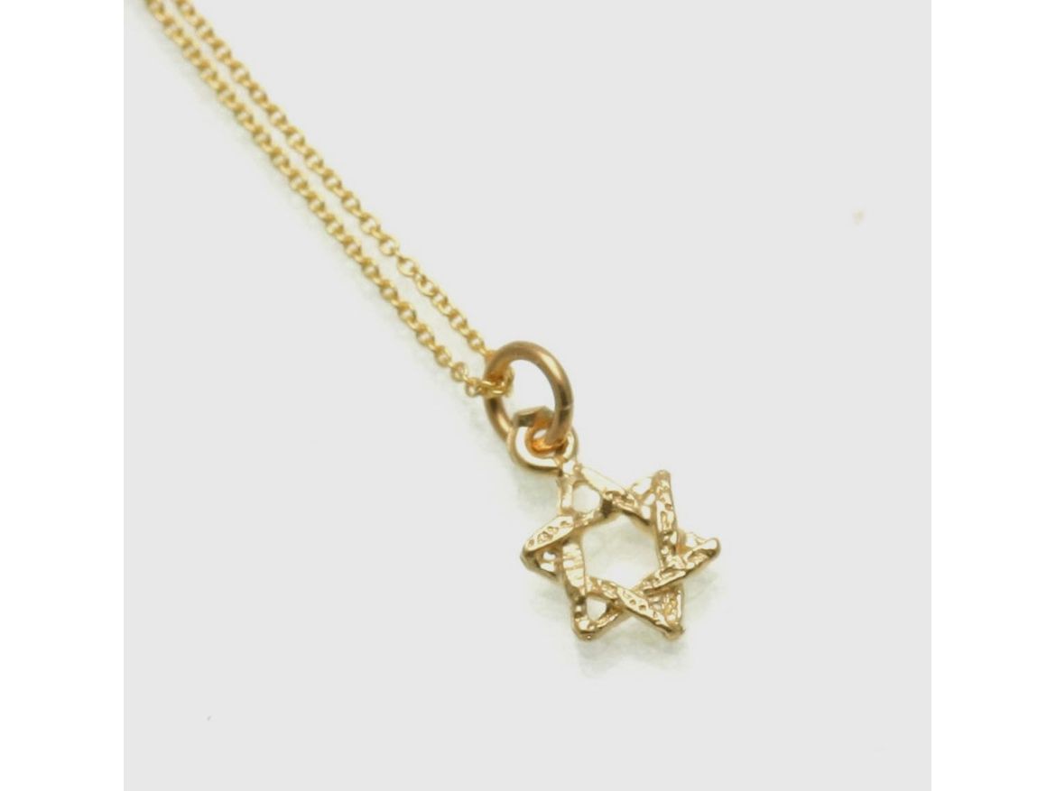 14k Gold Petite Star of David Necklace