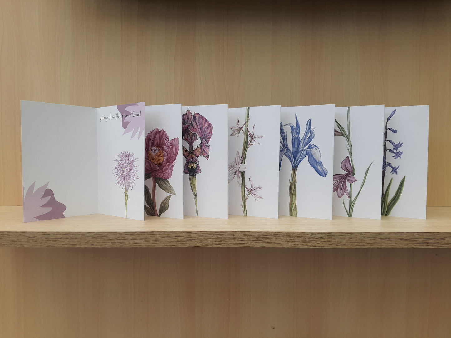 Wildflowers of Israel Greeting Cards