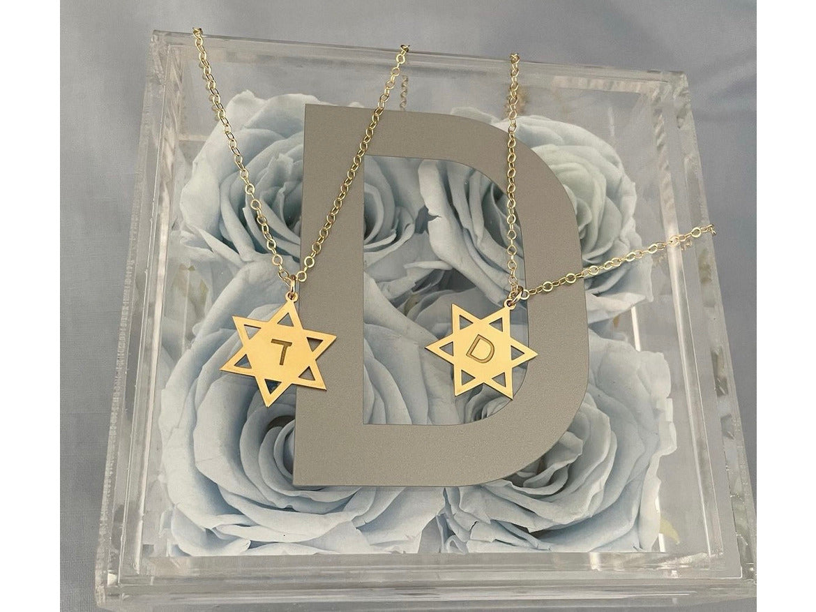 Sterling Silver Star of David Necklace