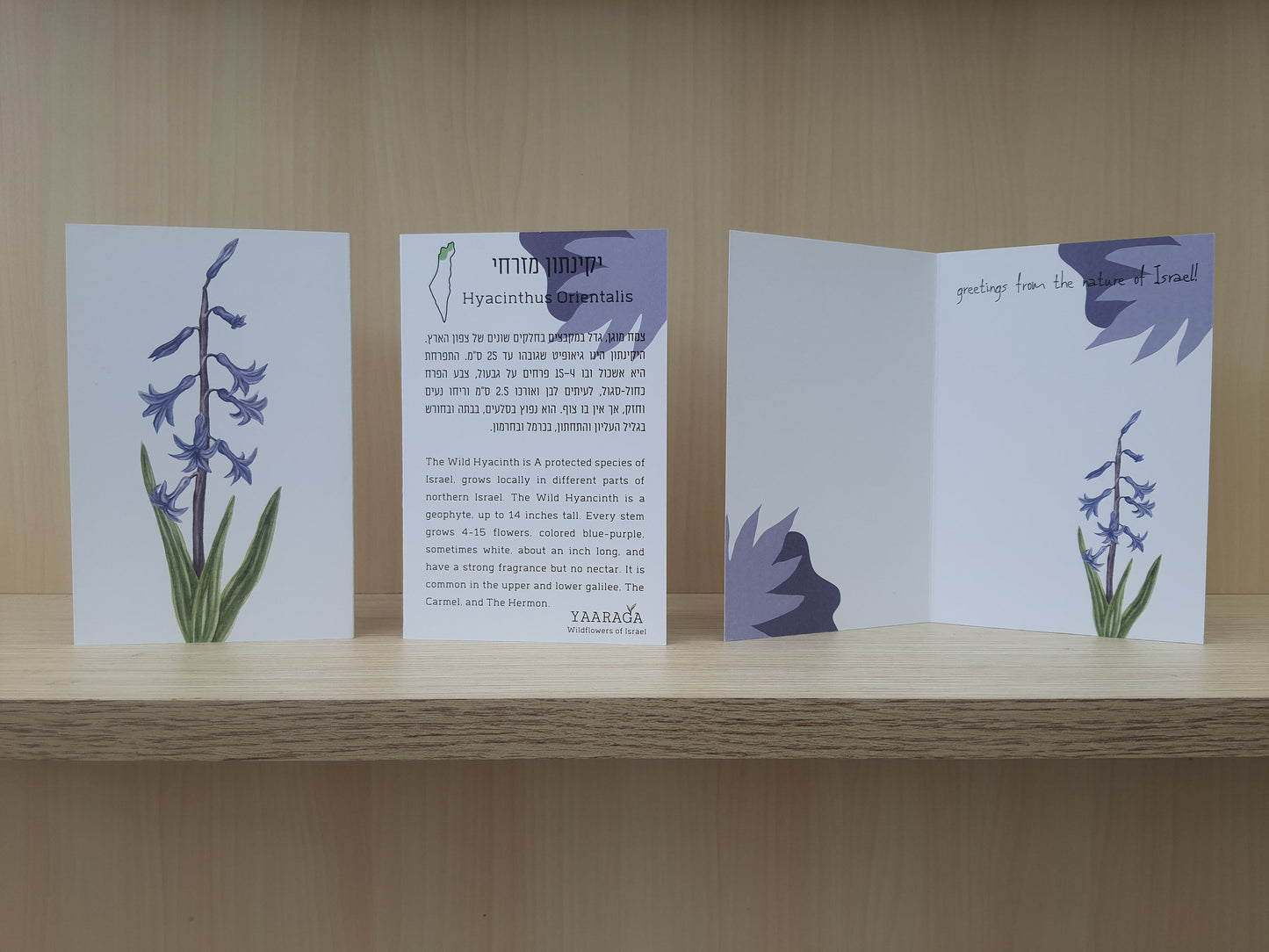 Wildflowers of Israel Greeting Cards