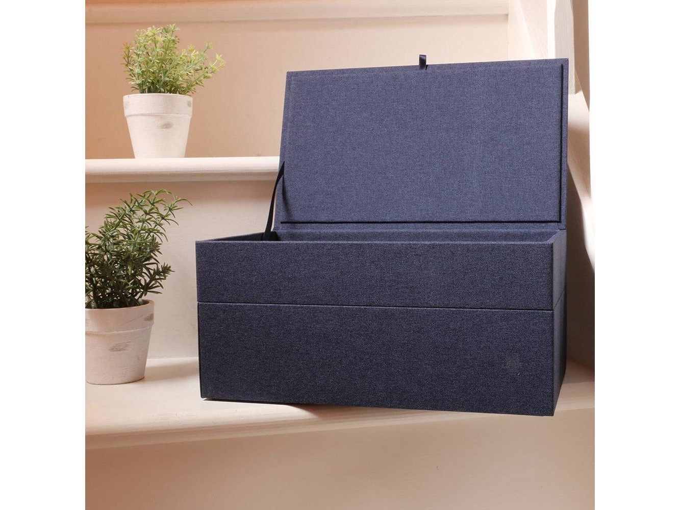 2-Tiered Storage Box